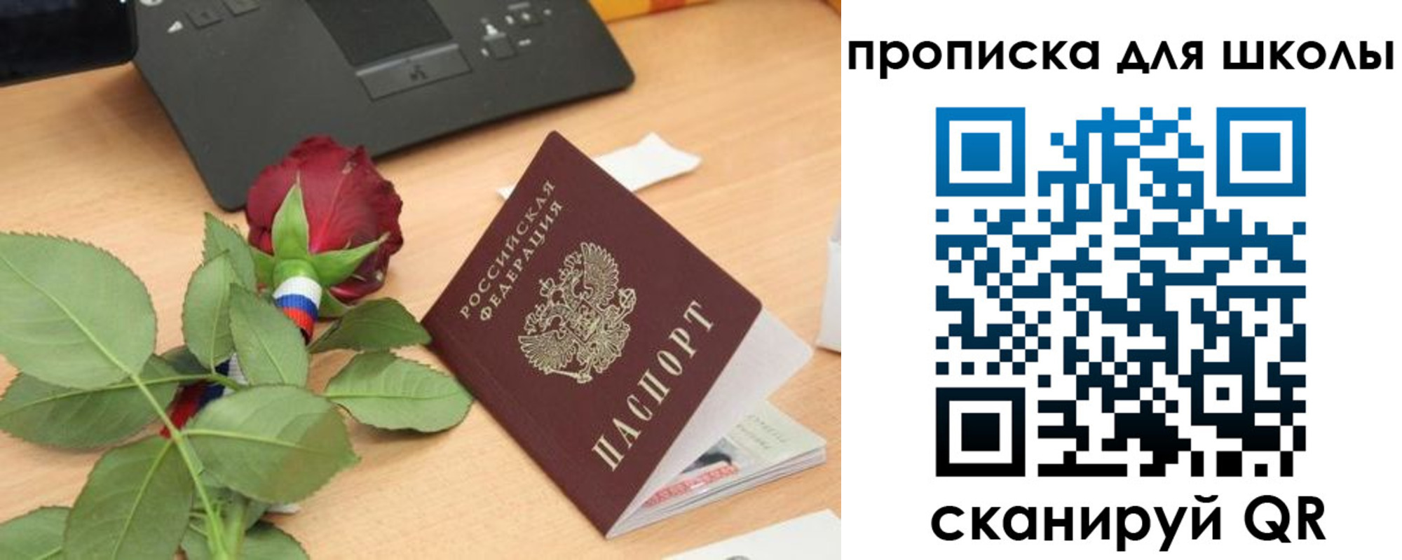 прописка паспорт в Всеволожске